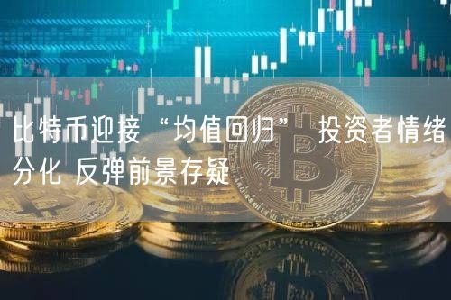 比特币迎接“均值回归” 投资者情绪分化 反弹前景存疑-第1张图片-交易所